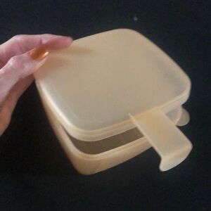 Tupperware Forget Me Not Cheese Keeper